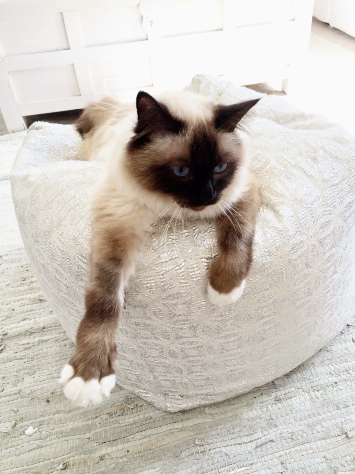 Mysdag med mamma och pappa...