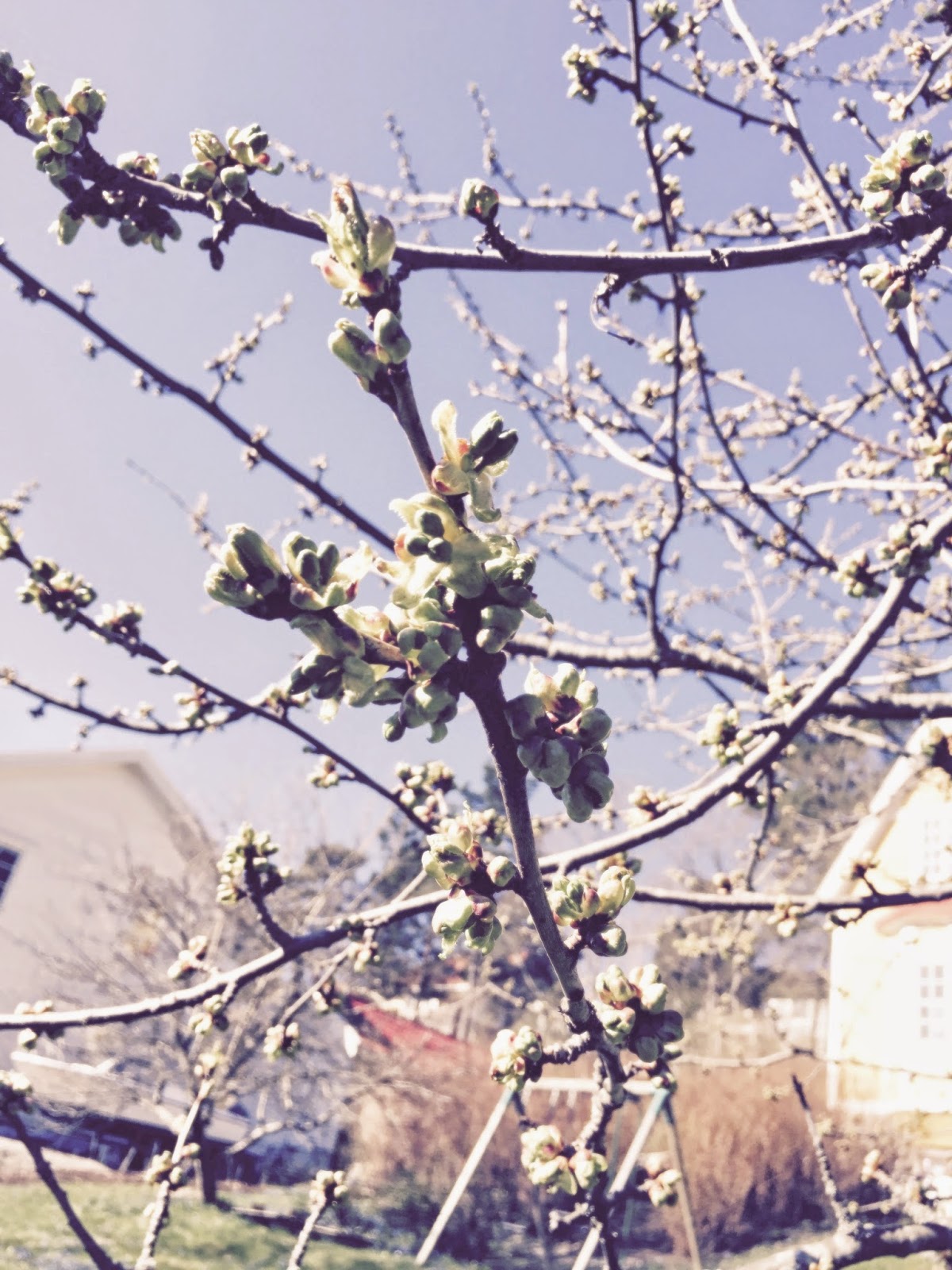 Snart snart snart...