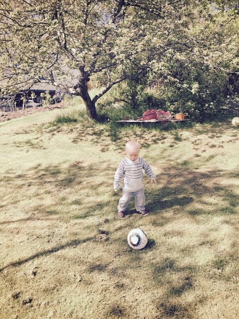 Söndag i trädgården hos mig...