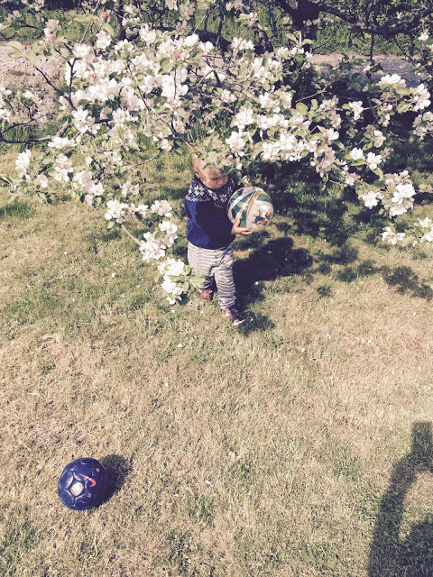 Häng i trädgården, kullerbytta på fel ställe, tröstglass och luskamning...