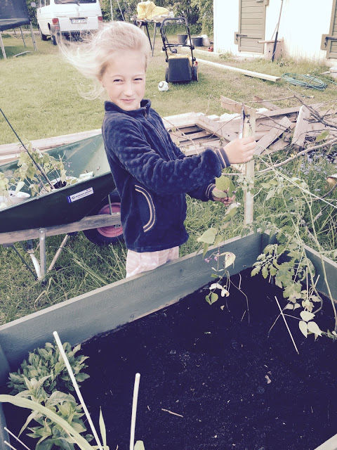 Plantering, god fisk, origamivernissage och massor av kärlek...