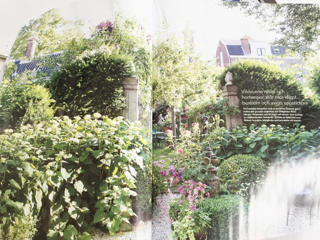 Dream dream dream...