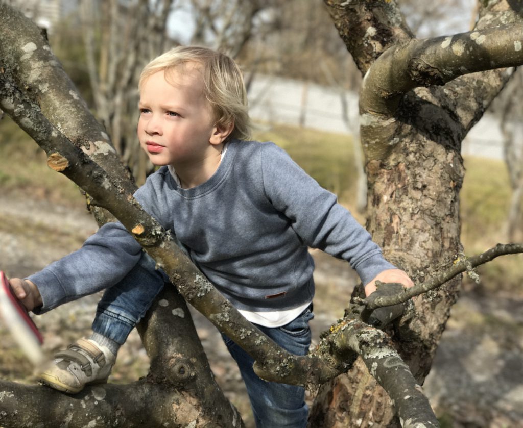 vårfix i trädgården