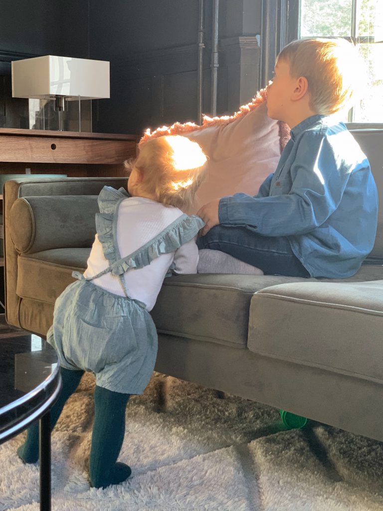 Trolla bort fläckar på sammet