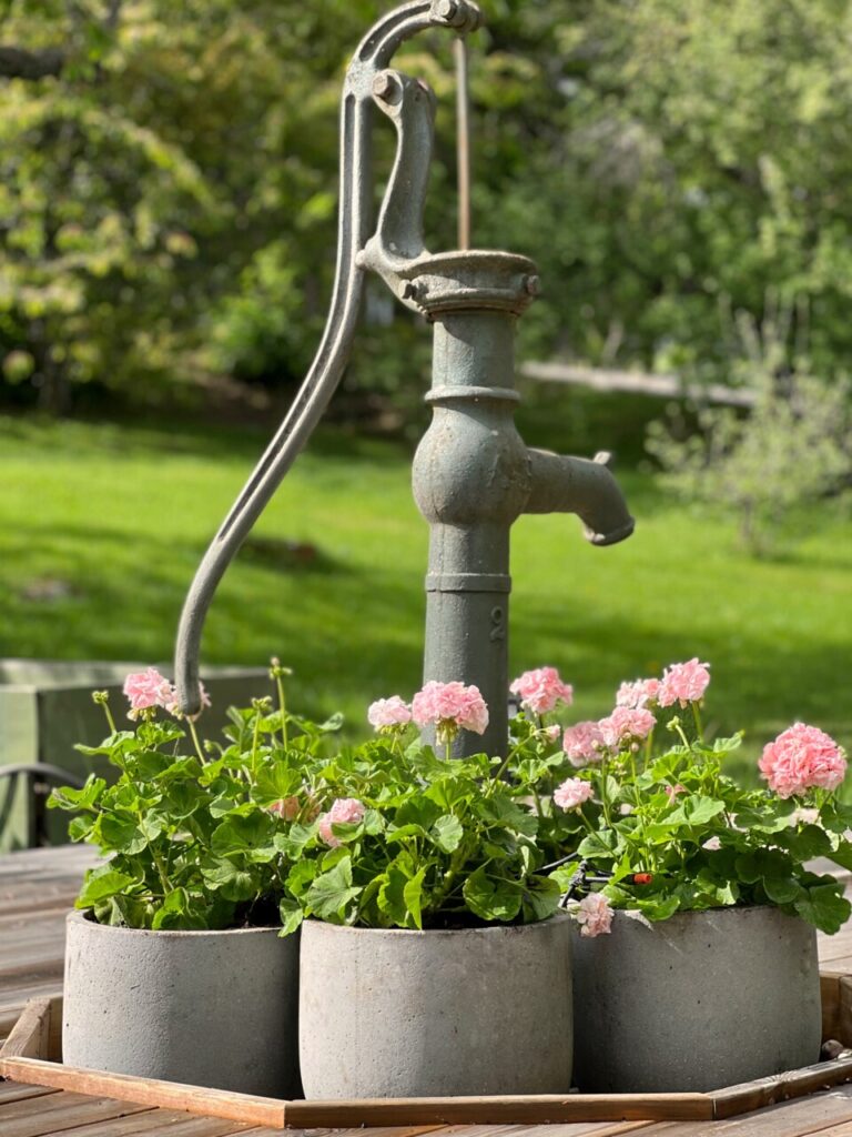 En grönskande trädgård och sommarfint runt brunnen